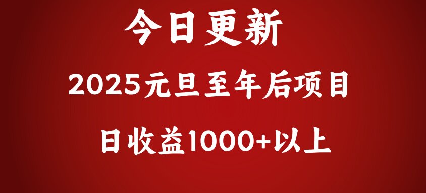 翻身项目，日收益1000+以上-九章网创