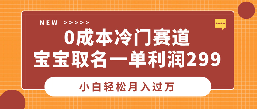 0成本冷门赛道，宝宝取名一单利润299，小白轻松月入过万-九章网创