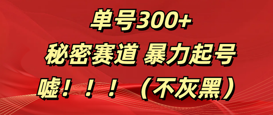 单号300+  秘密赛道 暴力起号  （不灰黑）-九章网创