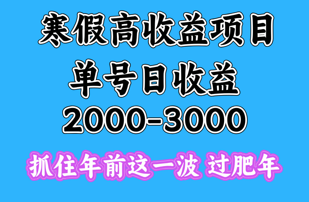 寒假期间一天收益2000-3000+，抓住年前这一波-九章网创