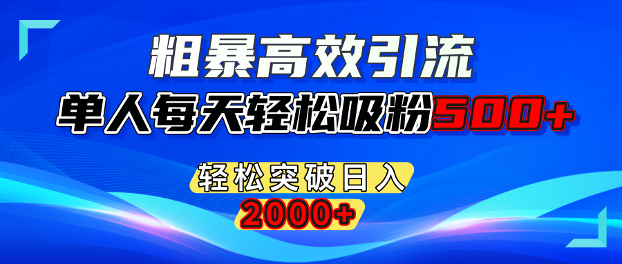 粗暴高效引流,单人每天轻松吸粉500+,轻松突破日入2000+-九章网创