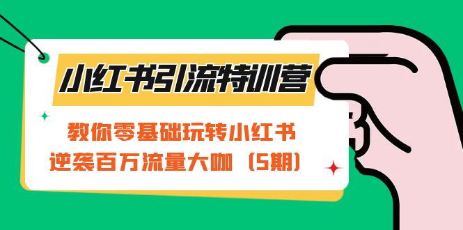 小红书引流特训营-第5期：教你零基础玩转小红书，逆袭百万流量大咖-九章网创