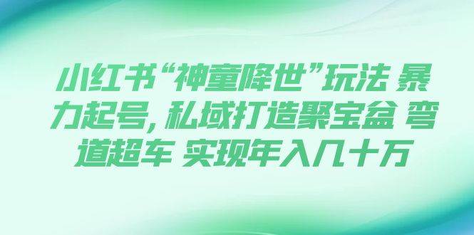 小红书“神童降世”玩法 暴力起号,私域打造聚宝盆 弯道超车 实现年入几十万-九章网创