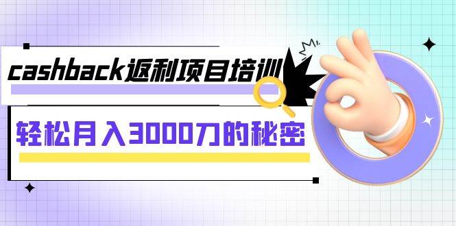 cashback返利项目培训：轻松月入3000刀的秘密（8节课）-九章网创